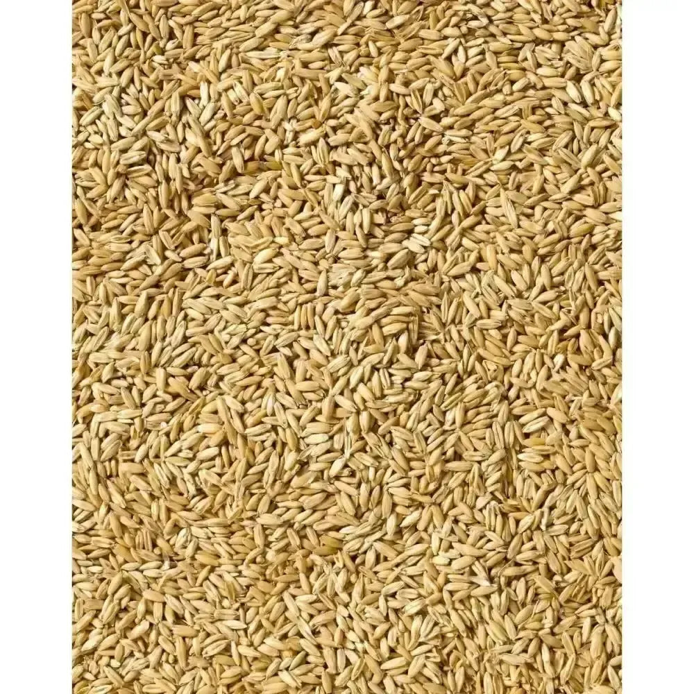 Saracen English Bruised Oats Horse Feeds