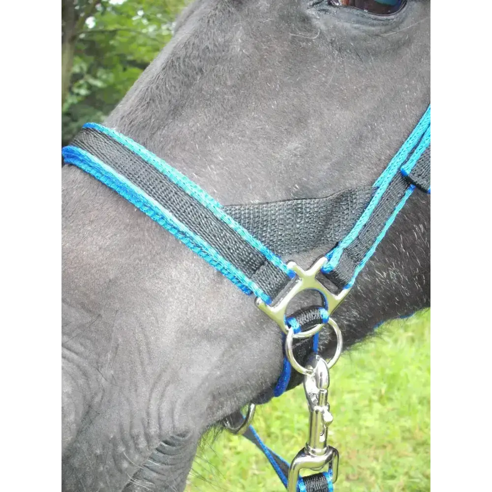 Scawbrig Bitless Bridle Navy/Red Small Pony