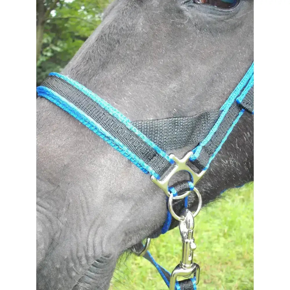 Blue and black woven scawbrig bitless bridle with silver cheek pieces and metal hardware for small pony use