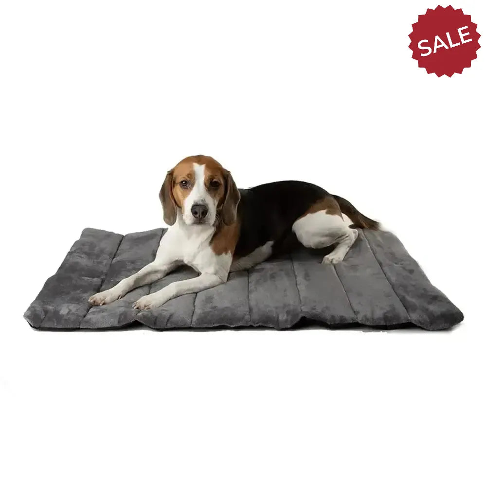 Scruffs Expedition Roll Up Travel Bed 100 x 70 Khakigreen Pet Beds & Blankets