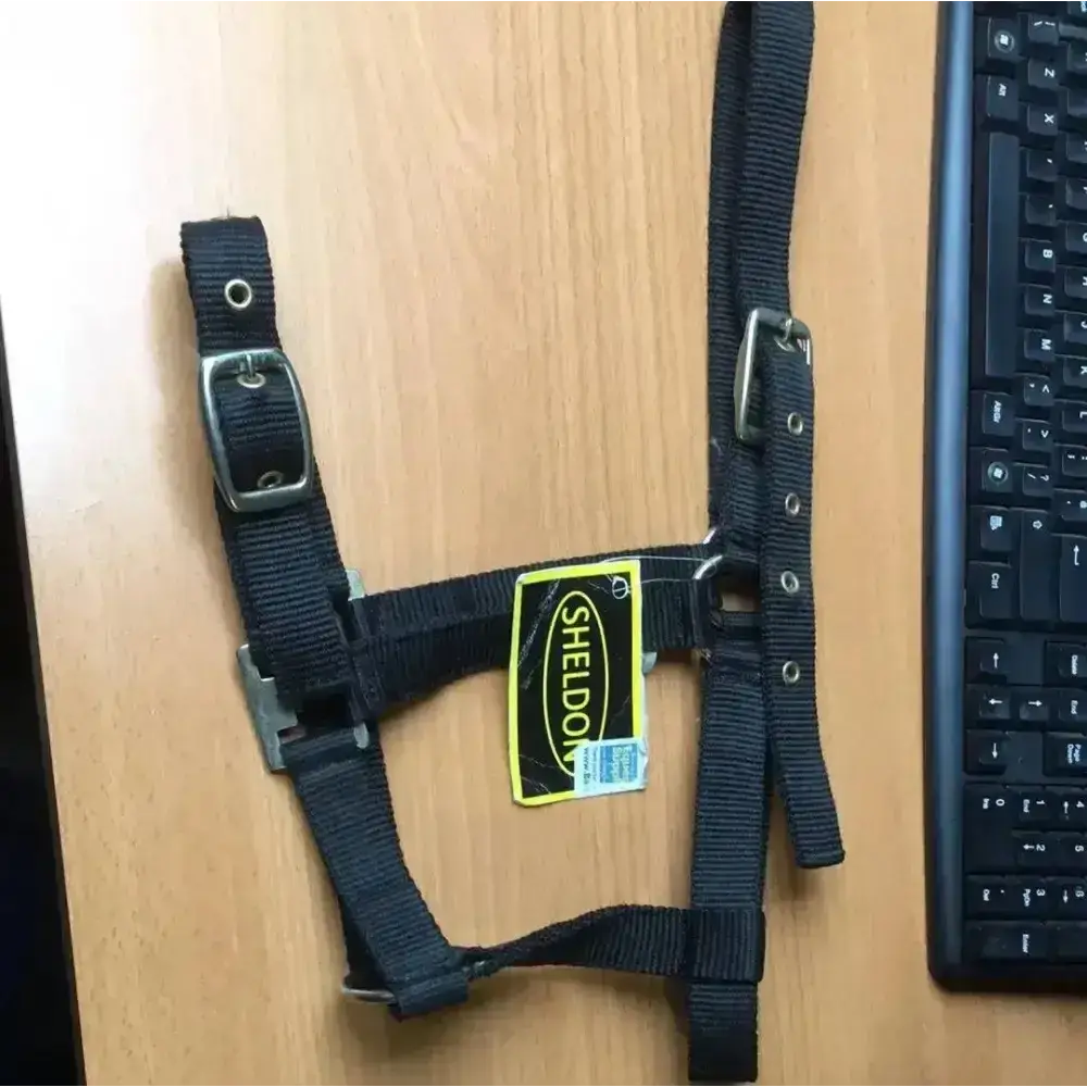Sheldon Economy Headcollar Black Pony Headcollars