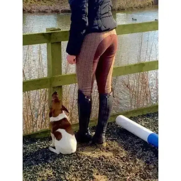 Brown and white dog sits beside person wearing sheldon knitted cozi ladies jodhpurs beige check with brown seat