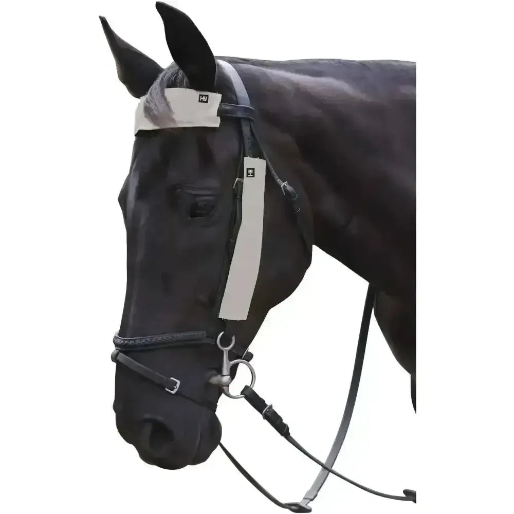 Silva Flash Reflective Bridle Set by Hy Equestrian Reflective Silver 3 Pieces Bridle Accessories