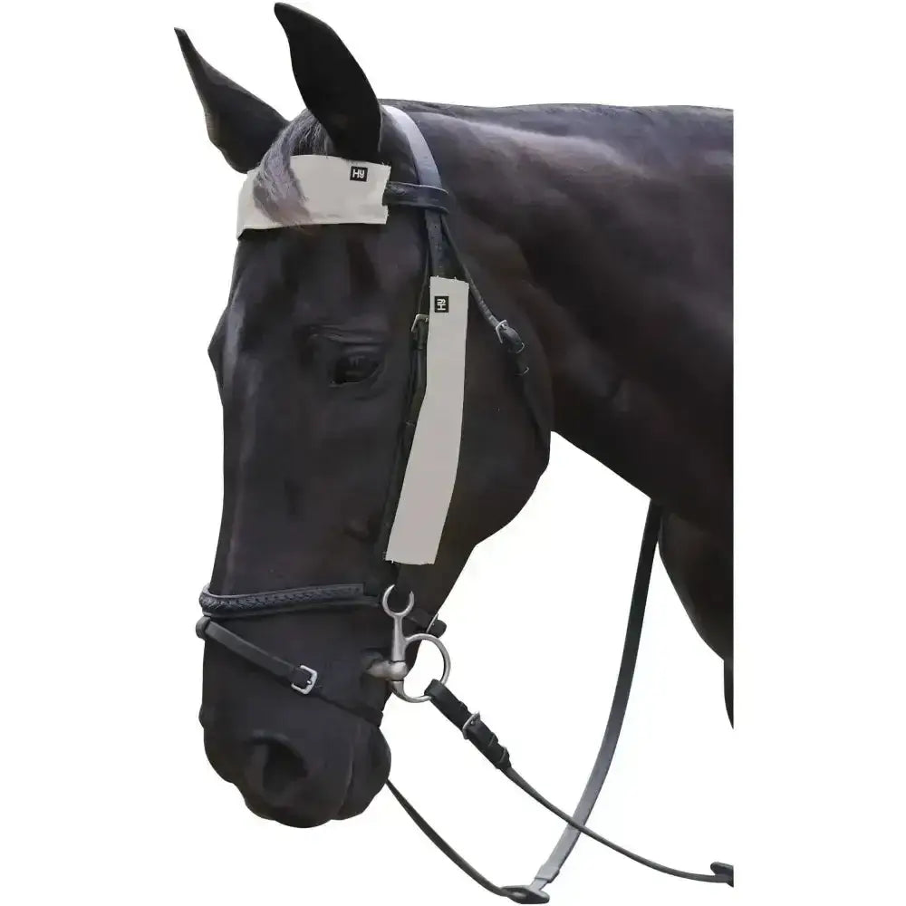 Black horse wearing silva flash reflective flash reflective bridle set with white headband and black leather reins