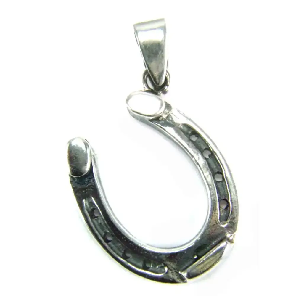 Silver Steed Detailed Horseshoe Pendant Pendant