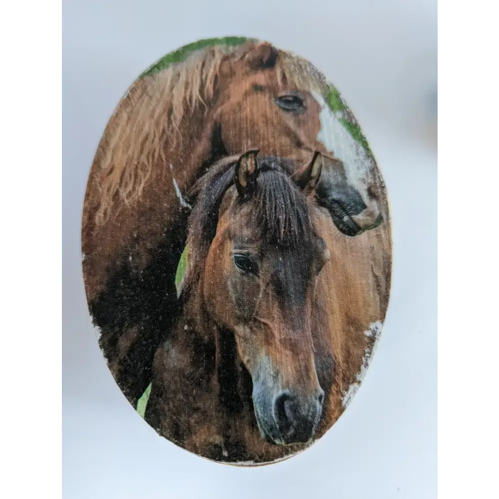 Silver Steed Jewellery Oval Boxes Bay Mare and Foal Miscellaneous