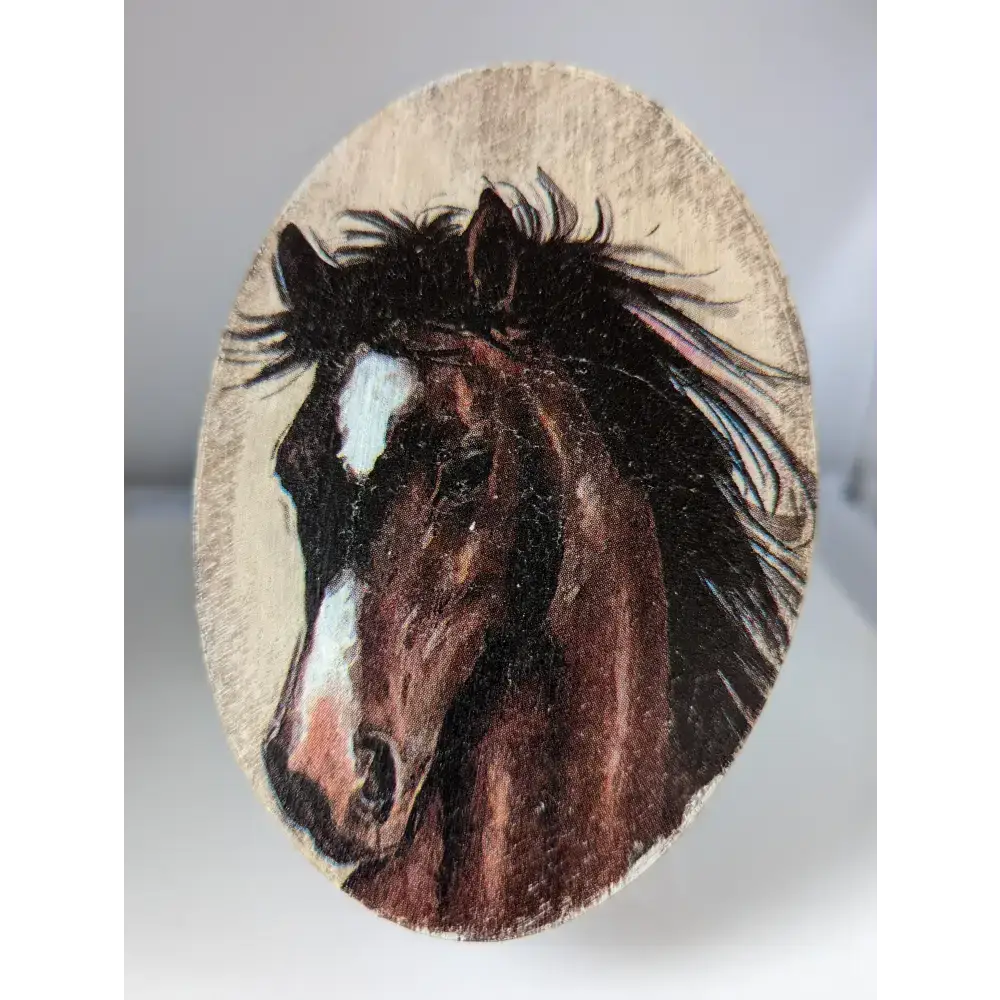 Silver Steed Jewellery Oval Boxes Black Long Maned Horse Head Miscellaneous