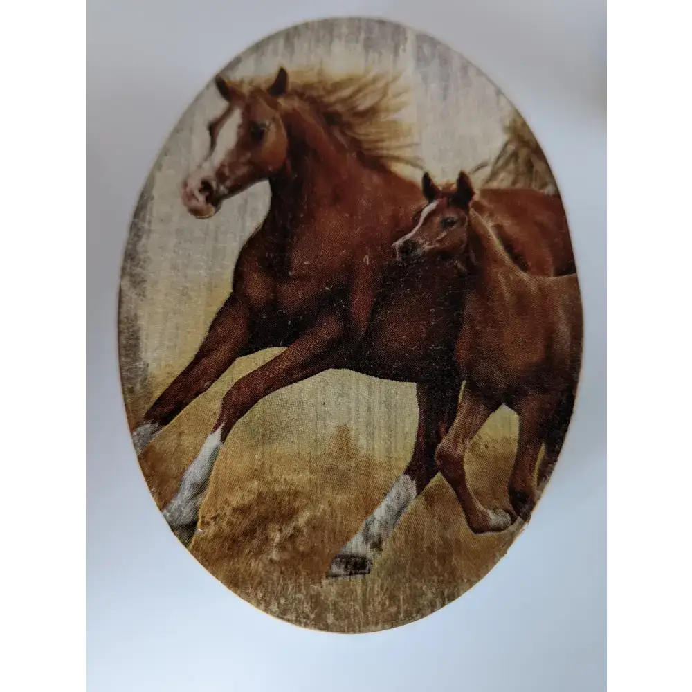 Silver Steed Jewellery Oval Boxes Chestnut Mare and Foal Cantering Miscellaneous