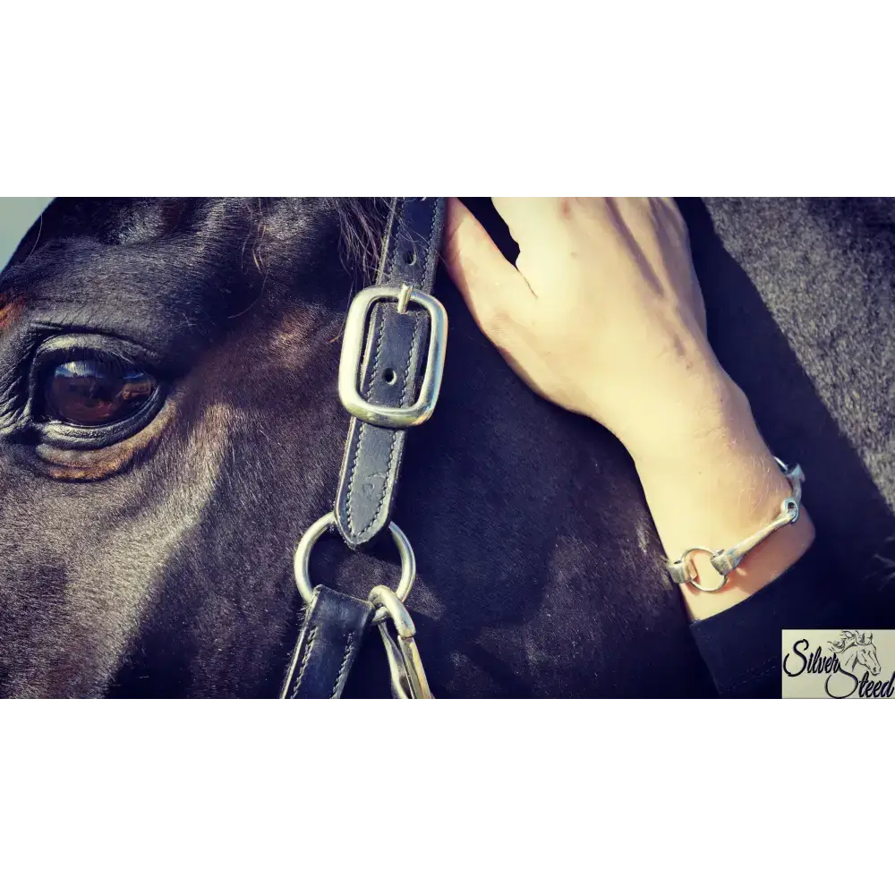 Silver Steed Large All About Snaffle Bracelet 3 Bracelets