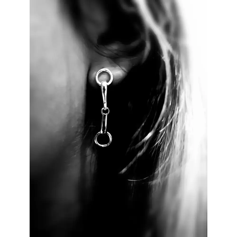 Silver Steed Snaffle Bit Stud Earrings Silver Earrings