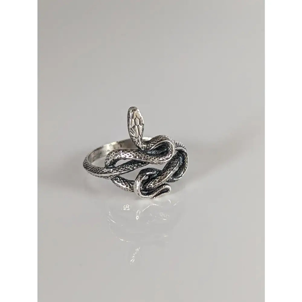 Silver steed snake silver ring with intricate textured scales and detailed head in sterling silver metallic finish