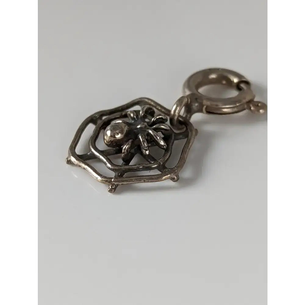 Silver Steed Spider Web Silver Charm Charms