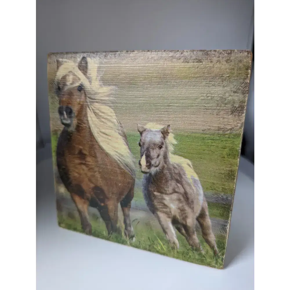 Silver Steed Tissue Boxes Hunting Miscellaneous