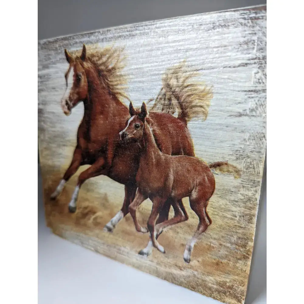 Brown horse and foal canvas print with rustic wood grain background on silver steed tissue boxes packaging