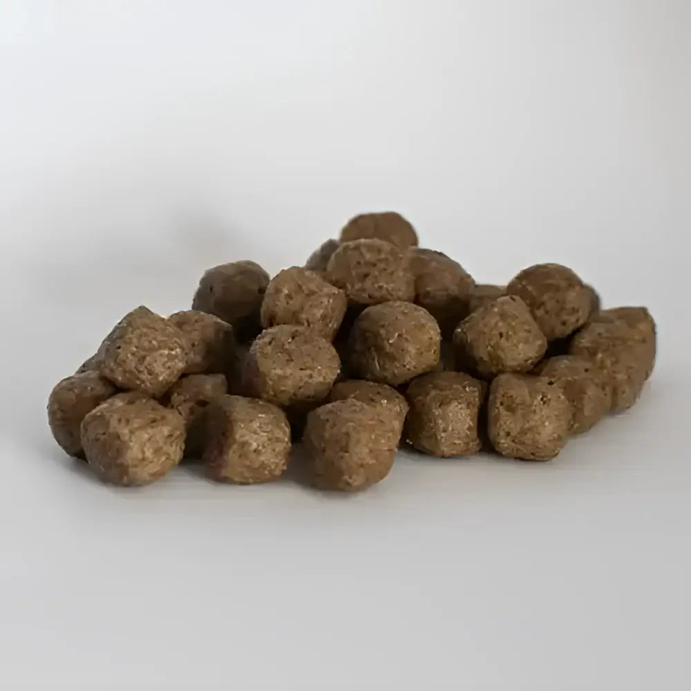 Brown round kibble pellets from skinner’s field & trial grain free salmon dog food for active dogs
