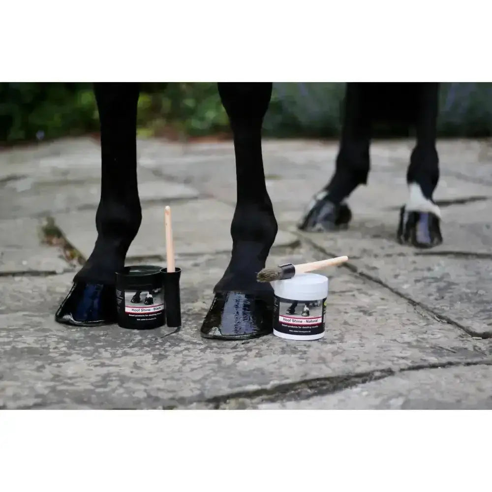Black grooming hoof shine jar 425g with applicator brush for smart grooming hoof care and shine maintenance