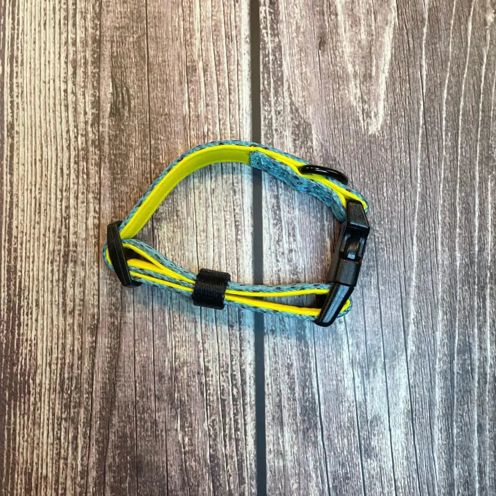 Bright yellow and teal woven days collar pink with black buckle and adjustable strap for dogs