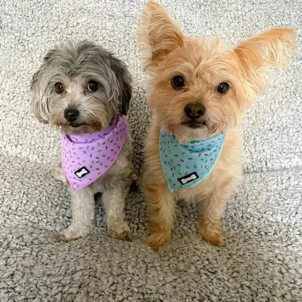 Sprinkles For Days Cooling Bandana - Pink S Pet Products