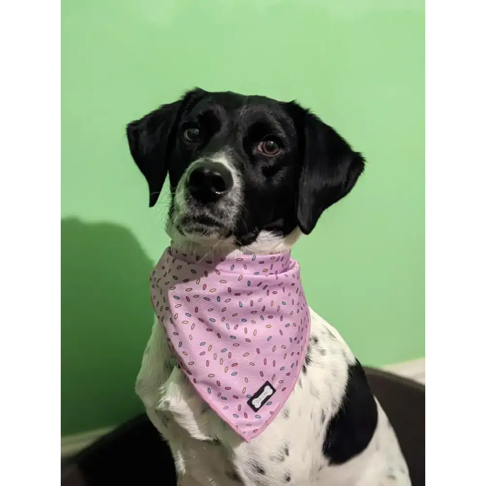 Sprinkles For Days Cooling Bandana - Pink S Pet Products