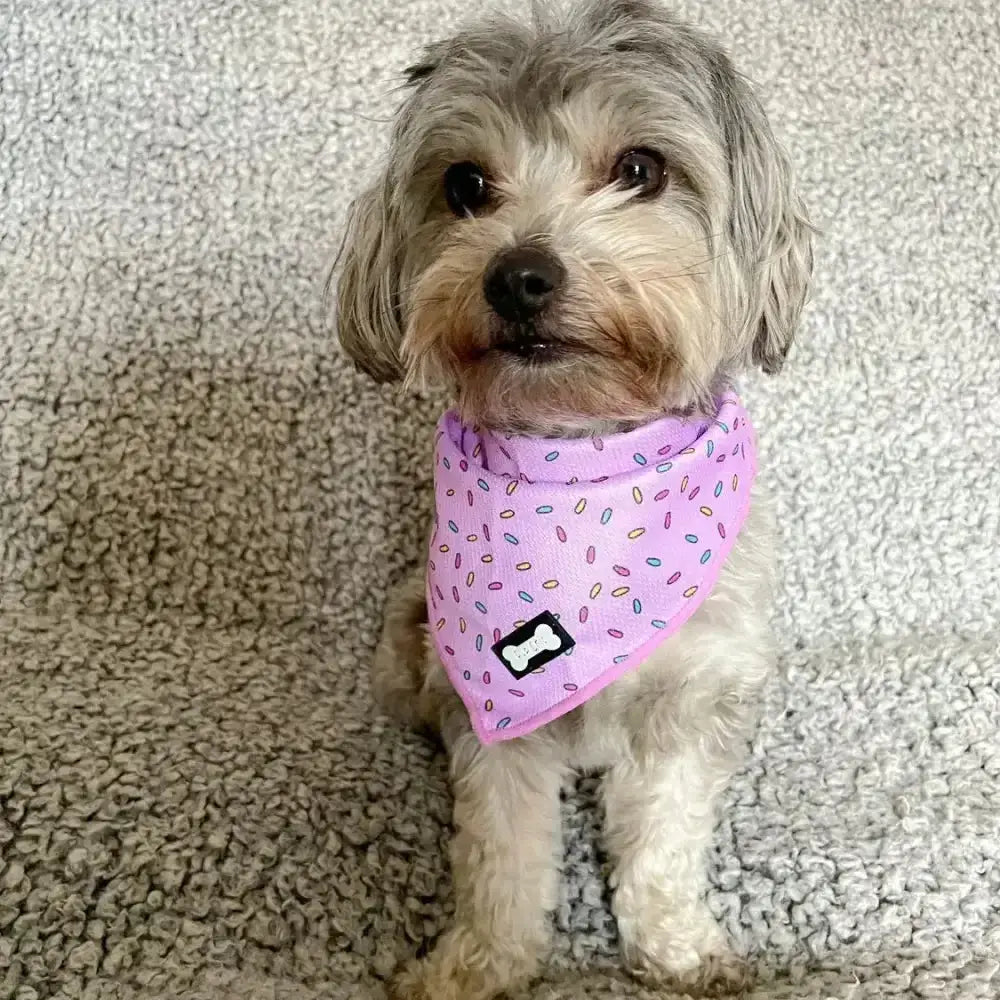 A soft lavender sprinkles for days cooling bandana with colorful sprinkle print and black bone patch made of cooling fabric