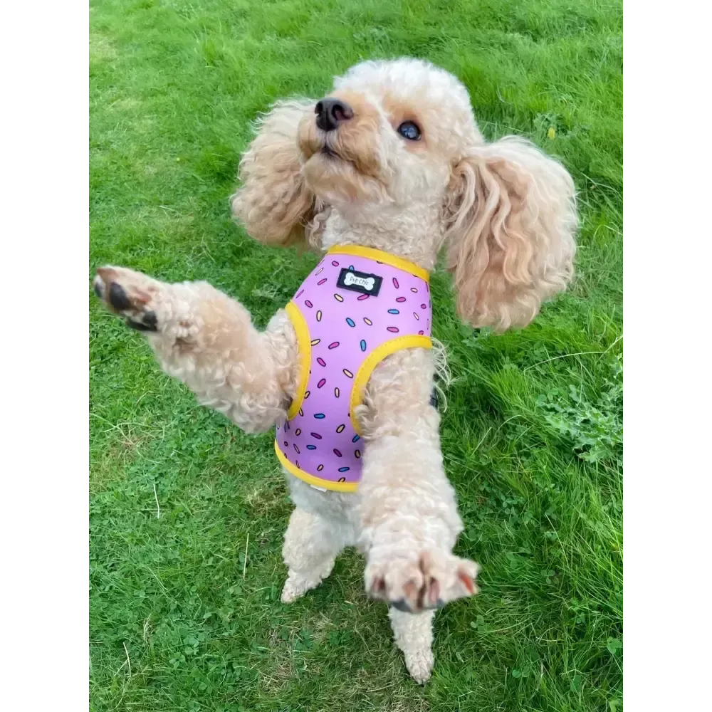 Sprinkles for Days reversible harness XS Pet Products