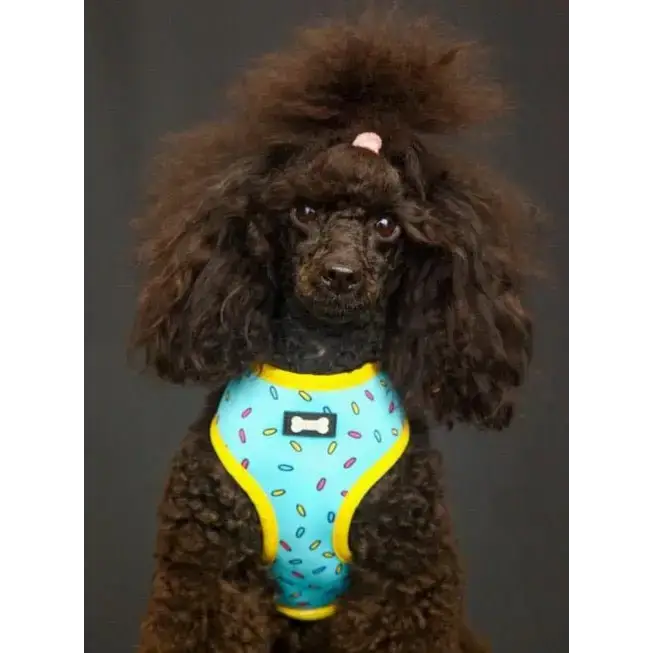 Sprinkles for Days reversible harness XS Pet Products