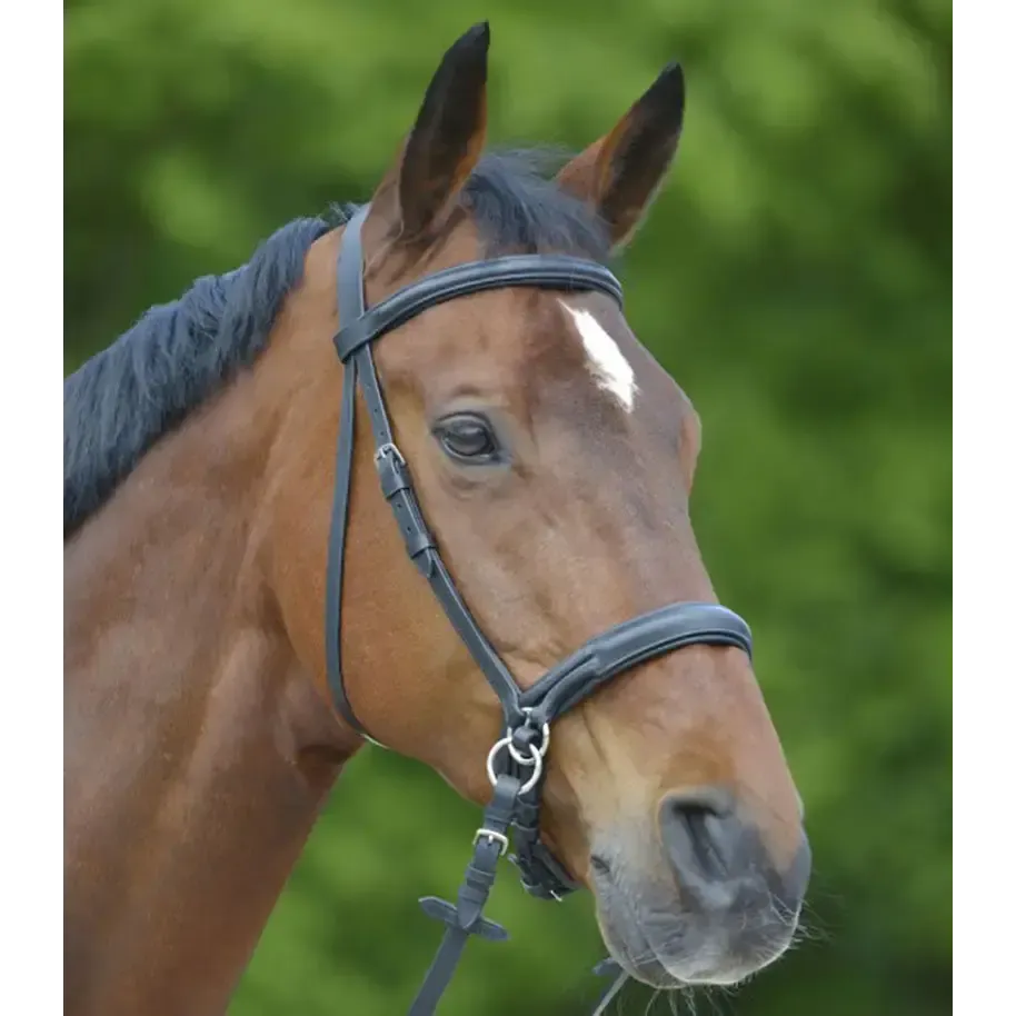 Star Bitless Bridle Black Pony Bitless Bridles