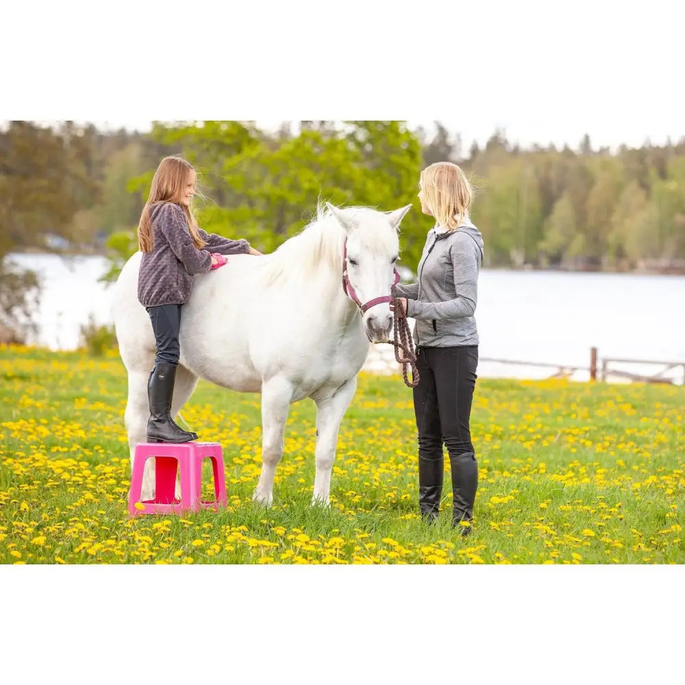 Pink sturdy plastic step stool perfect for equestrian use and easy reaching in stable or home settings