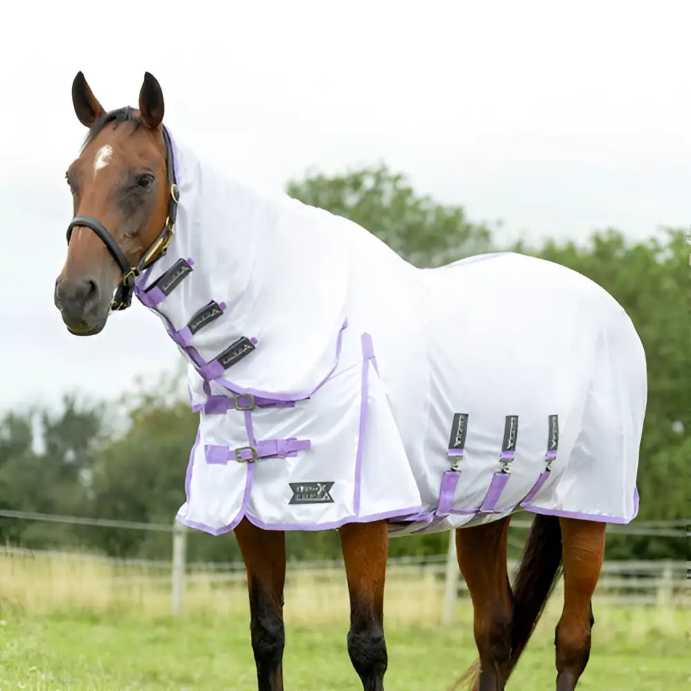 White stormx empra gladiator uv combi fly rug with purple trim and twin adjustable buckle straps fly veil