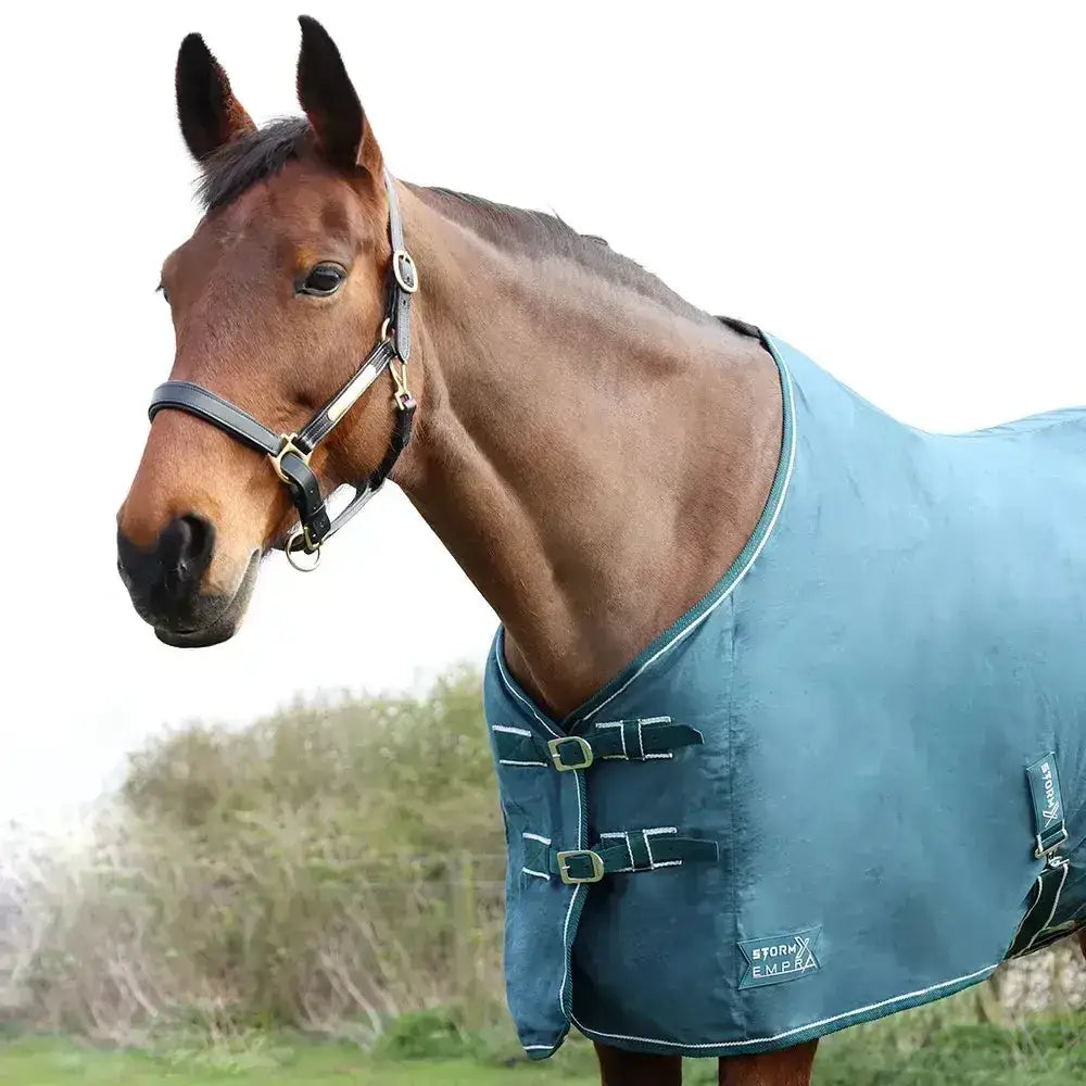 Blue stormx empra pima cotton sheet with black straps and gold buckles perfect for horse blanket use
