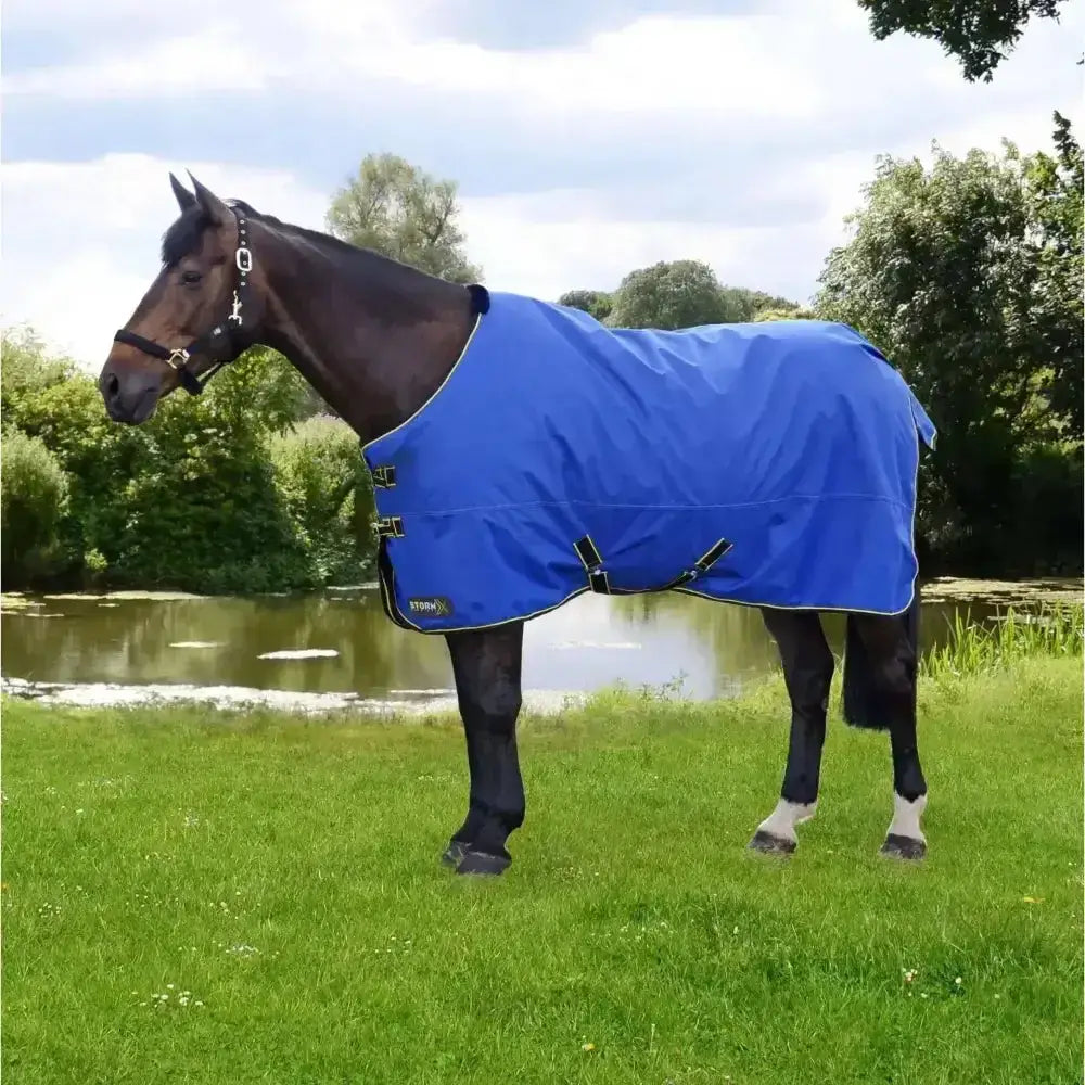 Blue waterproof stormx original 100g turnout rug with black straps and silver buckles for all-weather use