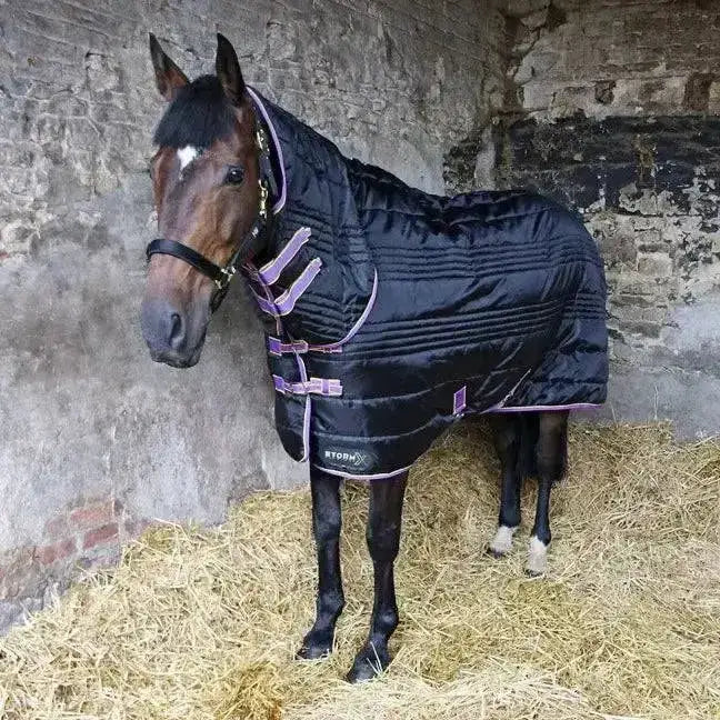 Black quilted stable rug with purple trim and stormx original logo featuring buckles combi stable rug