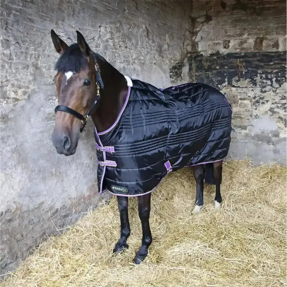 Black quilted stormx original 200g mediumweight stable rug with purple trim and twin buckle fastenings