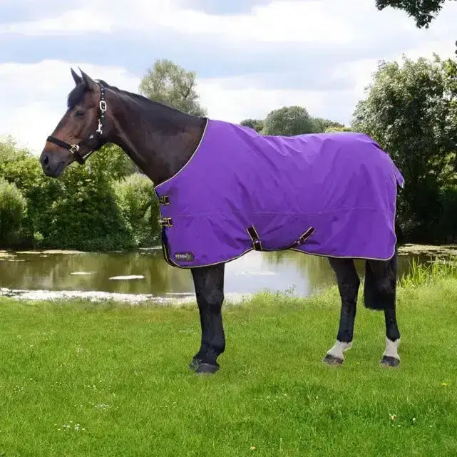 StormX Original 50 Turnout Rug Purple/Dark Purple/Yellow 4'6" Turnout Rugs