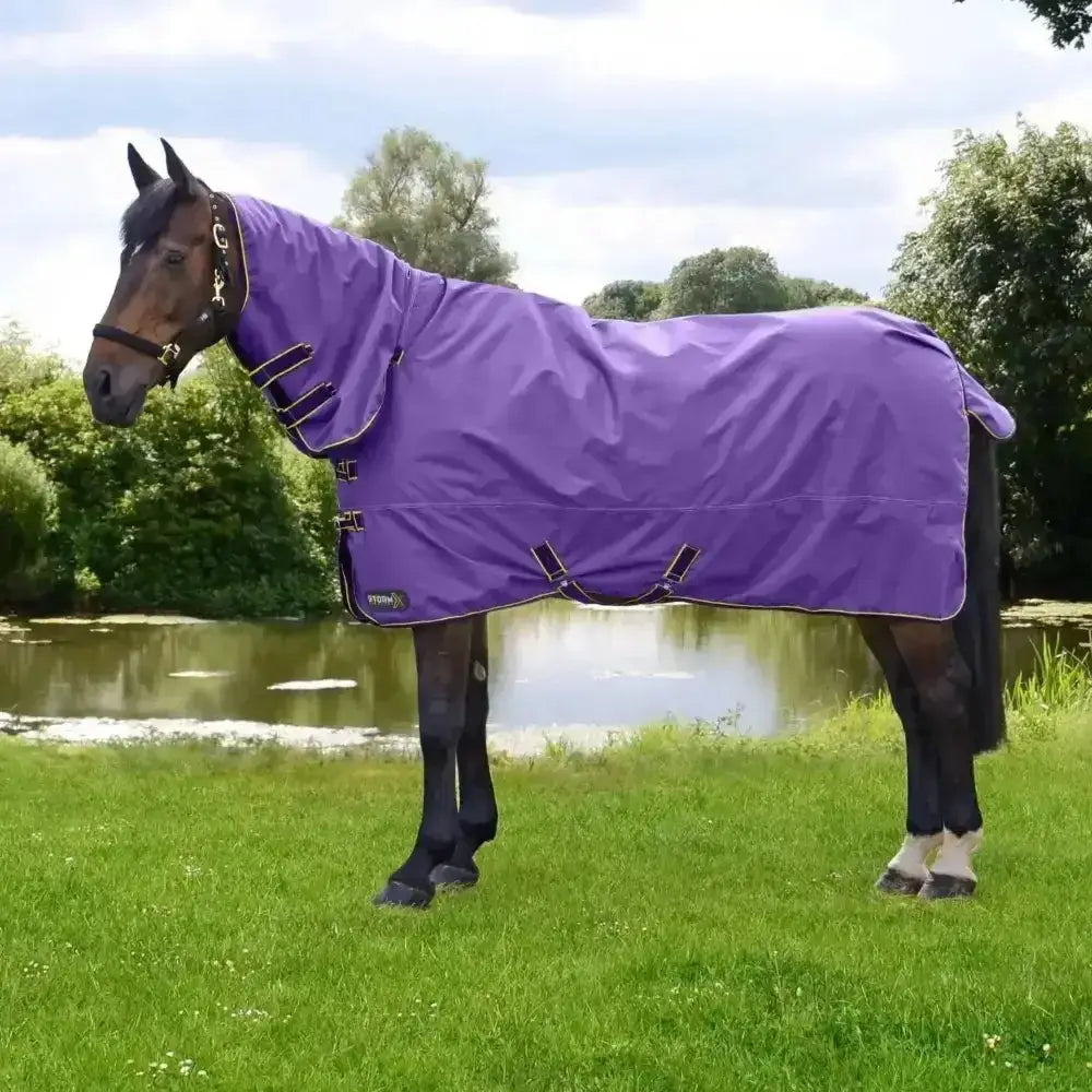 Purple waterproof stormx original 50g combi turnout rug with black trim and adjustable straps for all-weather use