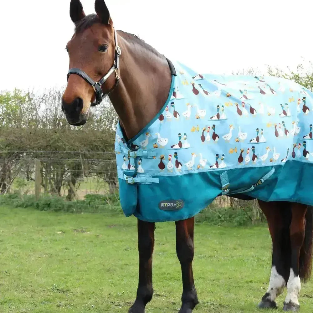 StormX Original Ay Up Duck 50g Turnout Rug Blue/Turquoise 4'6" Turnout Rugs