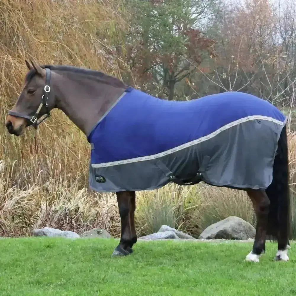 Blue and gray StormX original meshx rug horse blanket with reflective trim lightweight breathable mesh material