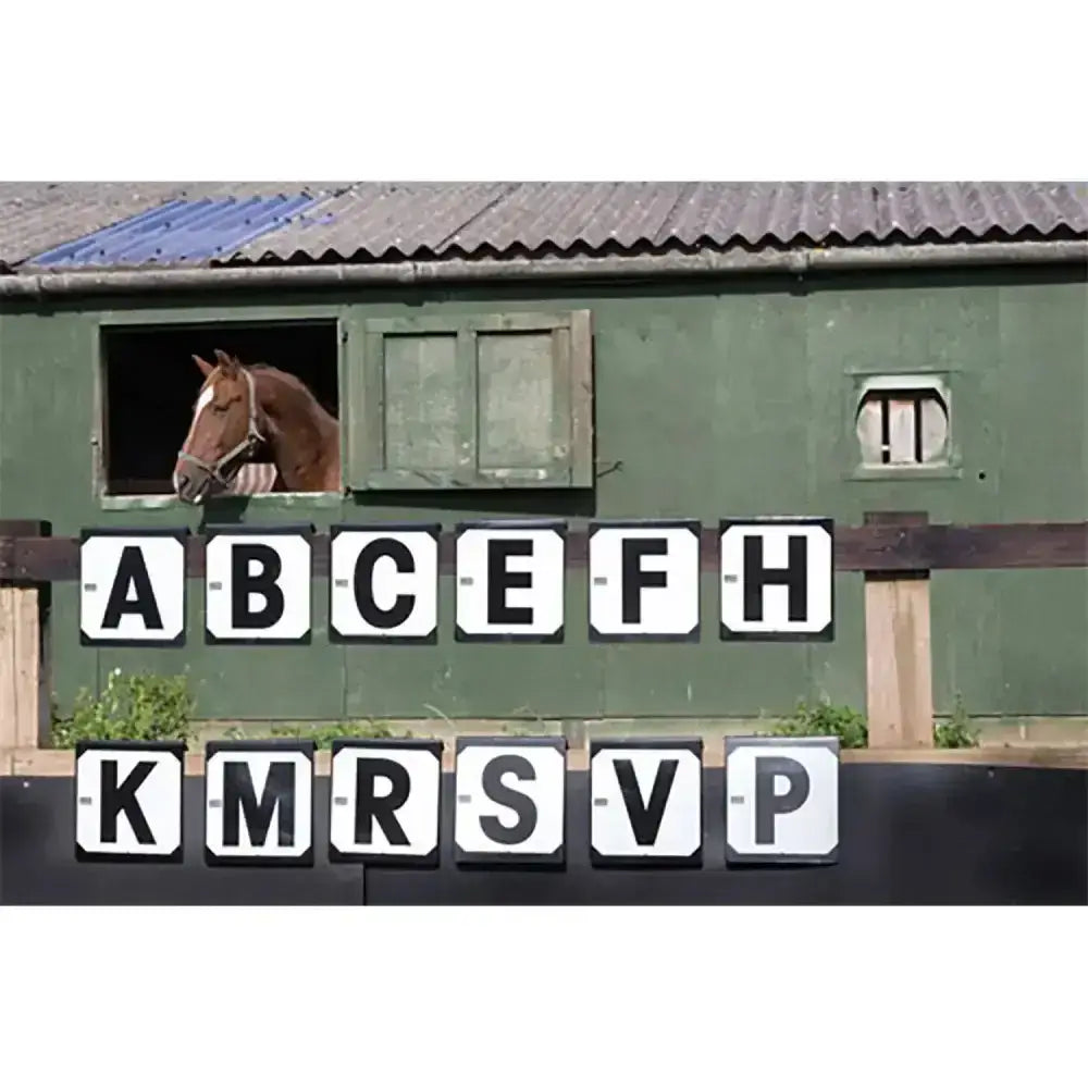 A brown horse with a white blaze peeks from a green stable window next to stubbs hook-on dressage letters markers 12