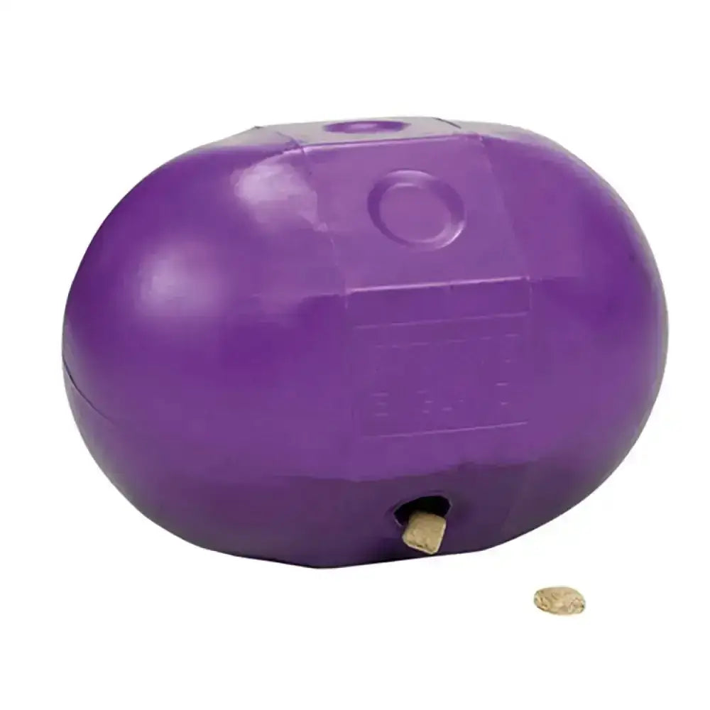 Purple plastic stubbs rock n roll ball dribble treat feeder releasing treats for dogs and horse toys