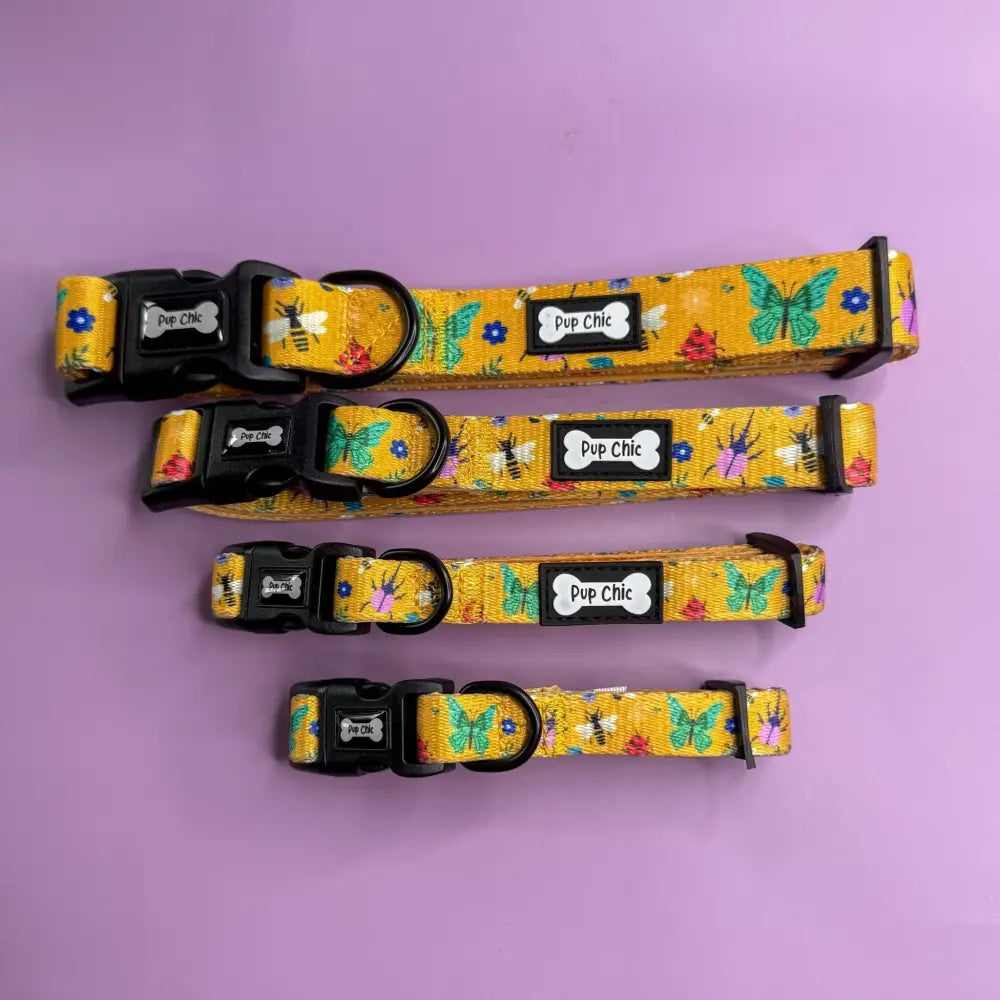 Set of four yellow summer buzzin dog collars with butterfly bee patterns black buckles and pup chic tags for toy poodles