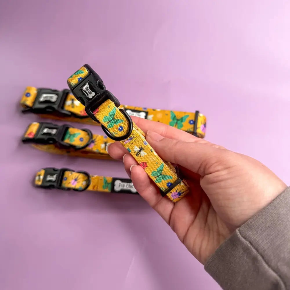 A vibrant yellow summer buzzin dog collar with playful butterfly floral pattern and black plastic hardware for toy poodles