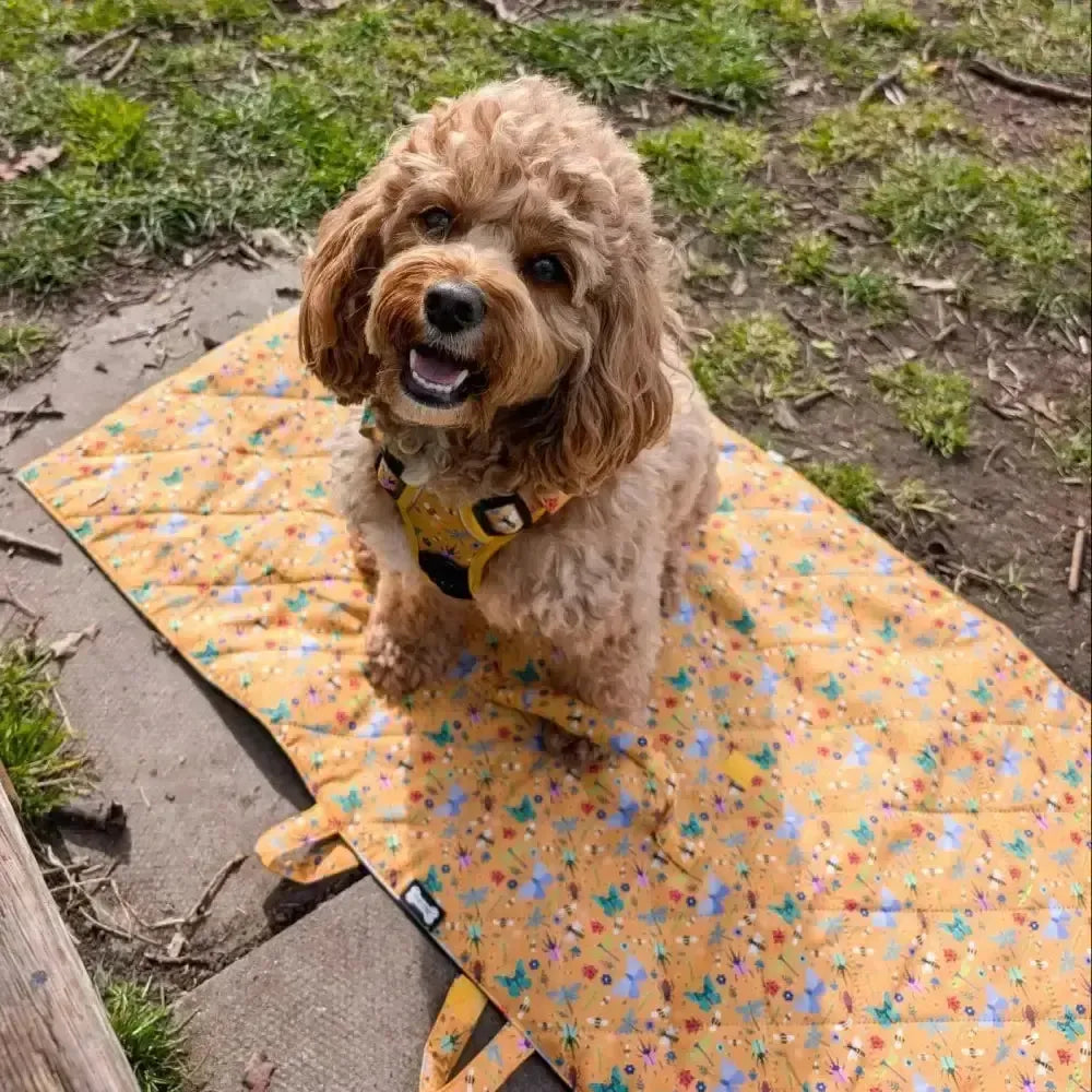 Summer Buzzin' Dog Settle Mat – Lightweight, Waterproof & Travel-Friendly Pet Products