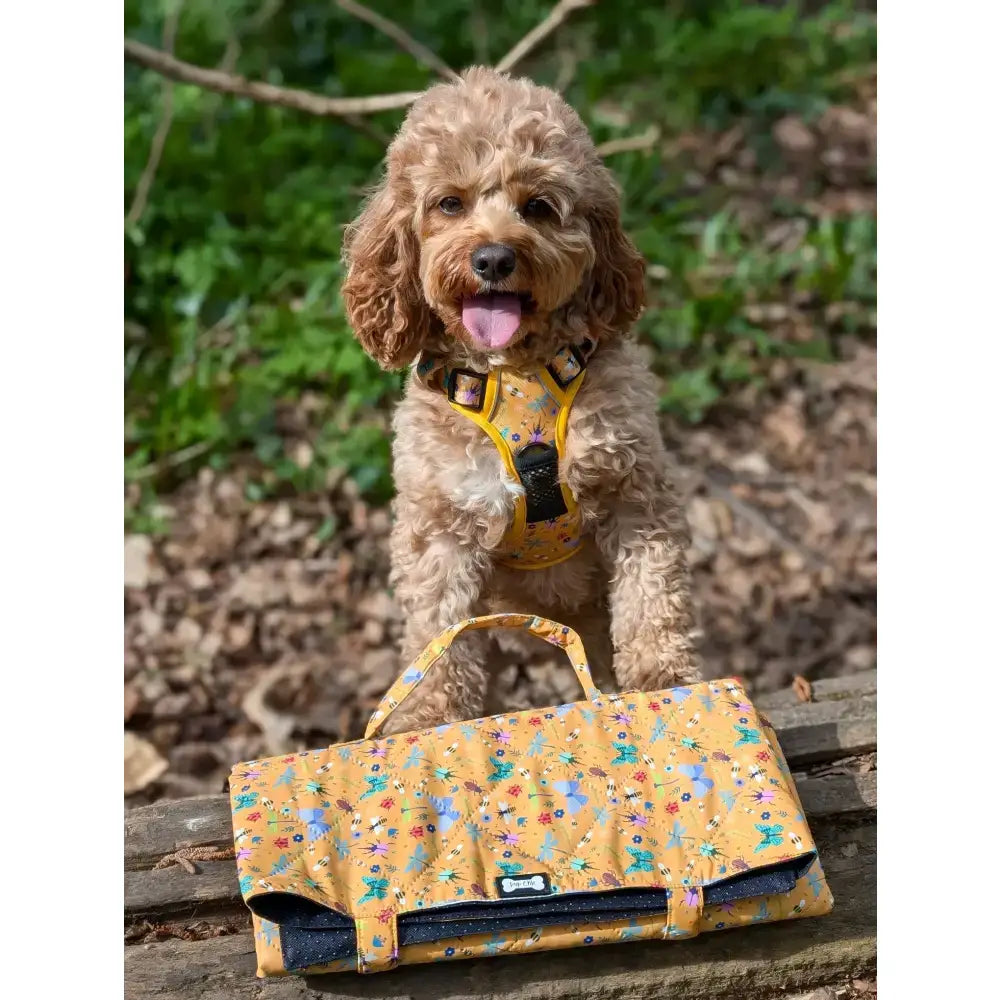 Yellow floral patterned summer buzzin dog harness and matching lightweight waterproof carrier with black accents