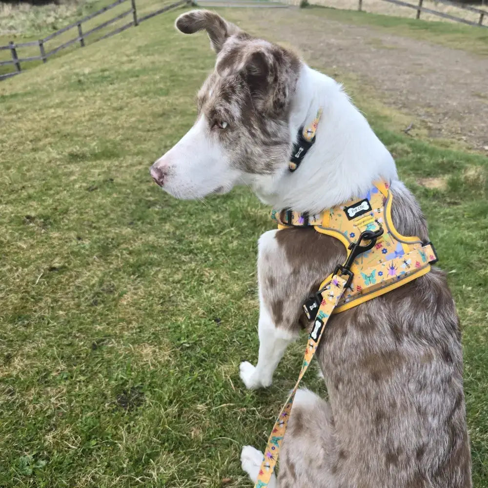 Yellow insect print tactical dog harness with black hardware and matching leash for easy no pull control