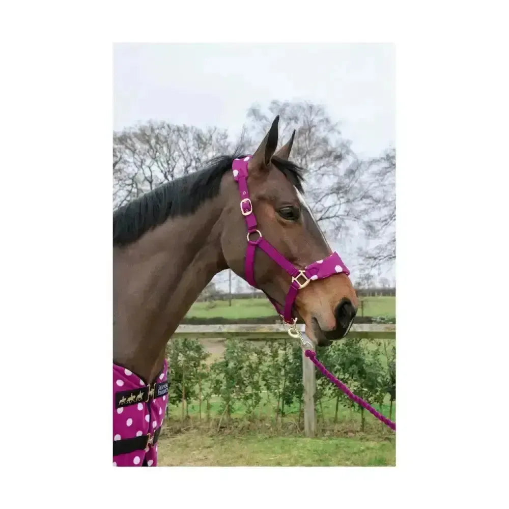 Supreme Products Dotty Fleece Head Collar & Lead Rope Beautiful Blue Small Pony Headcollar Sets