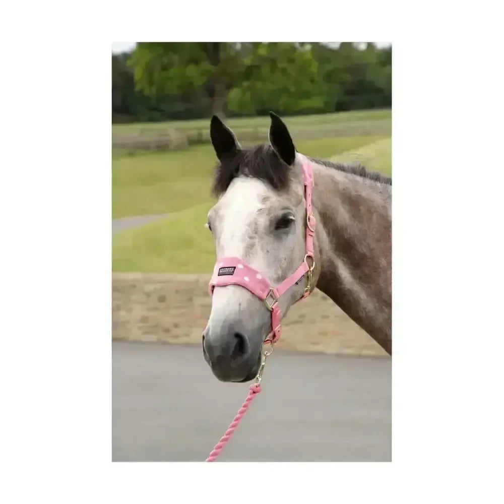Supreme Products Dotty Fleece Head Collar & Lead Rope Beautiful Blue Small Pony Headcollar Sets