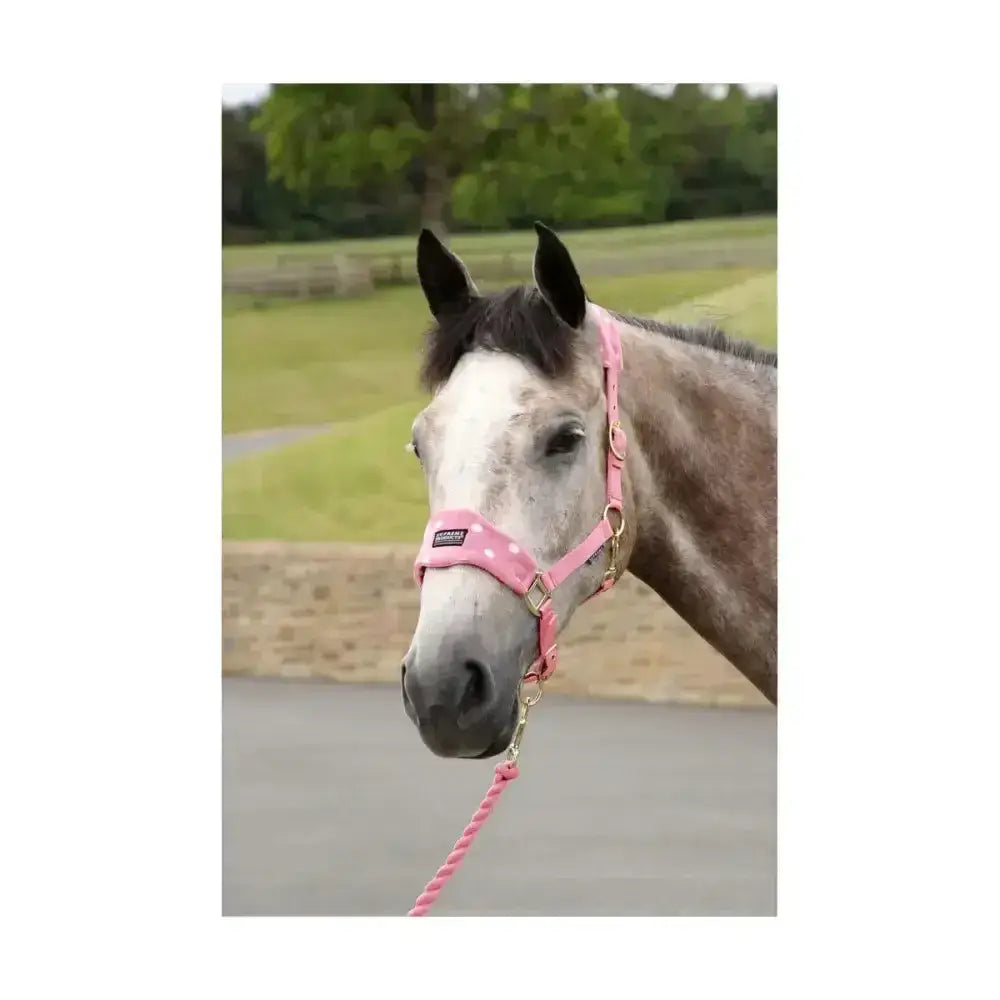 Pink polka-dot supreme products dotty fleece head collar and lead rope with gold-tone hardware for horses
