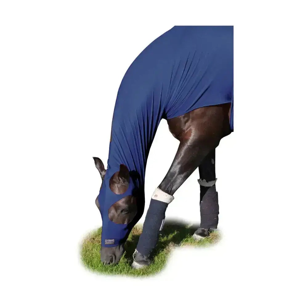 Dark brown horse wearing a blue supreme products lycra hood blanket with eye and muzzle openings covering head and legs