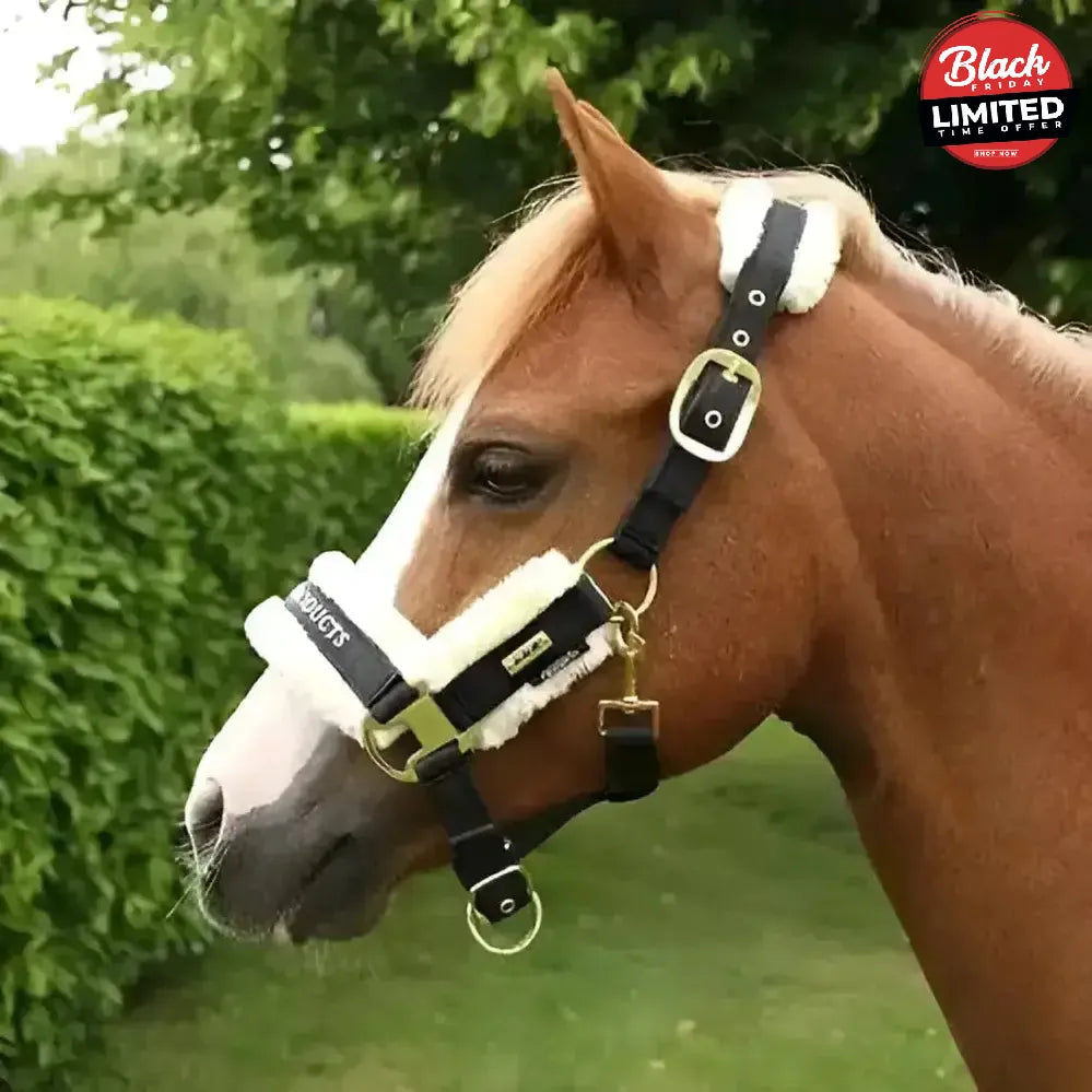 Supreme Products Royal Occasion Head Collar Black Cob Headcollars
