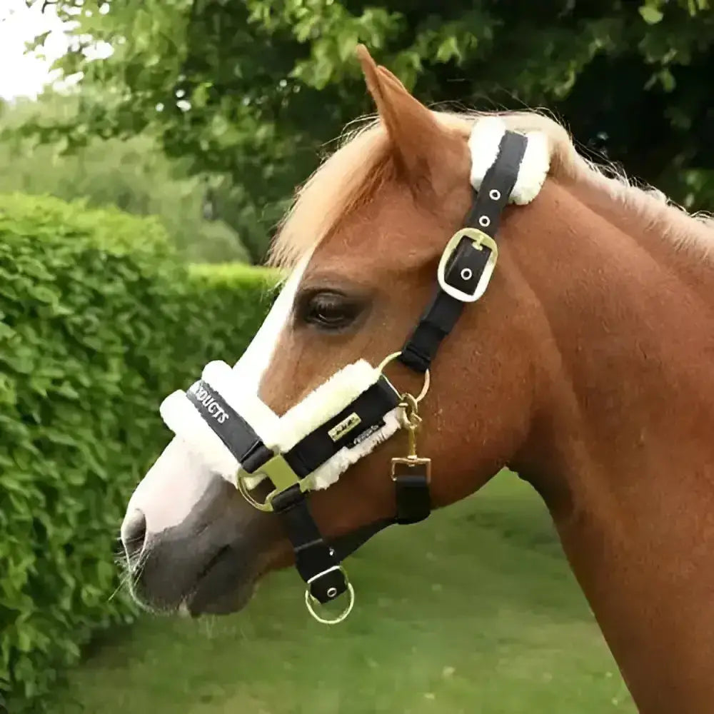 Black and white fleece-lined horse halter with gold-tone hardware from supreme products royal luxurious faux fur collection